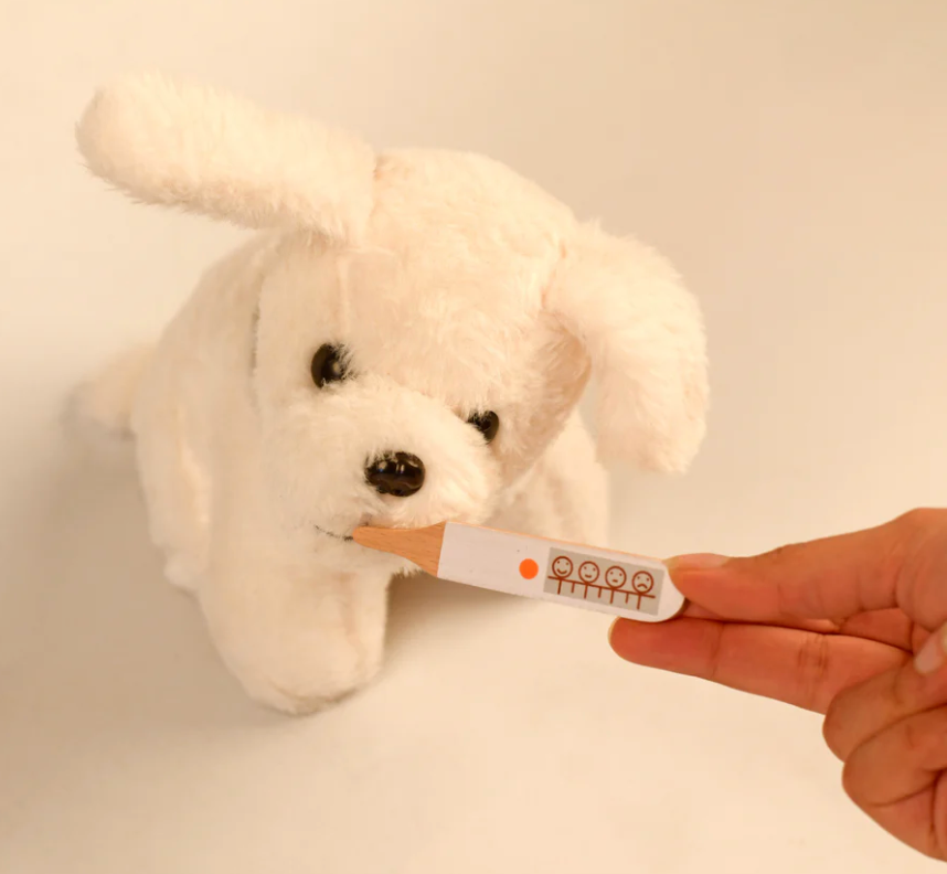 The Little Healer’s Atelier: Milo’s Wooden Pet Doctor Set